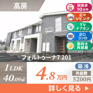 フォルトゥーナ7 201