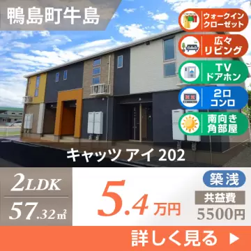 キャッツ アイ 202