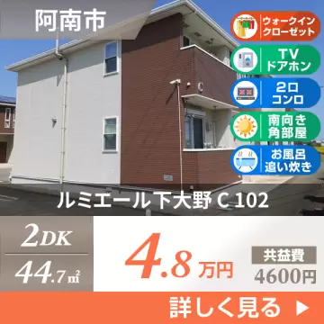 ルミエール下大野 C 102