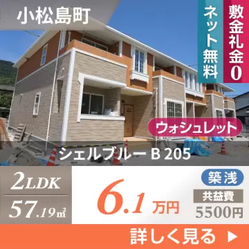 シェルブルー B 205