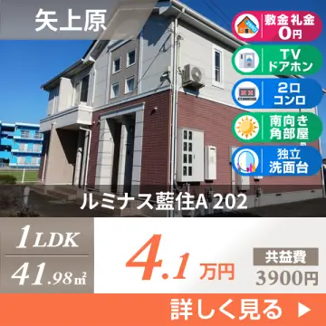 ルミナス藍住A 202