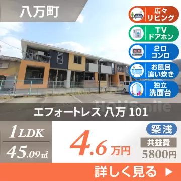 エフォートレス 八万 101