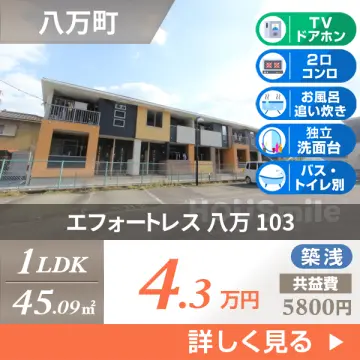 エフォートレス 八万 103