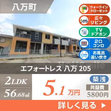 エフォートレス 八万 205