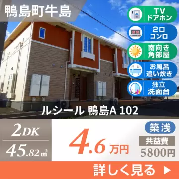 ルシール 鴨島A 102