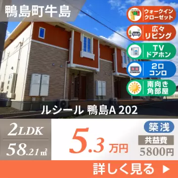 ルシール 鴨島A 202