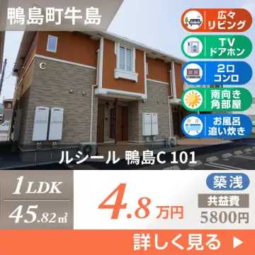 ルシール 鴨島C 101