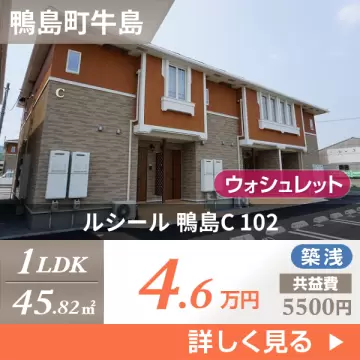 ルシール 鴨島C 102