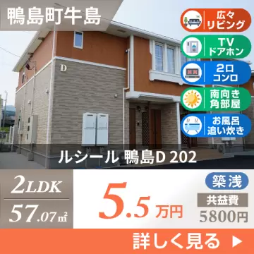 ルシール 鴨島D 202