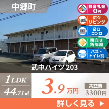 武中ハイツ 203
