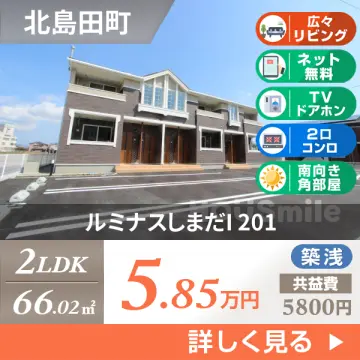 ルミナスしまだI 201