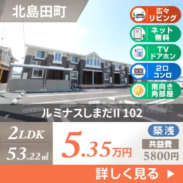 ルミナスしまだII 102