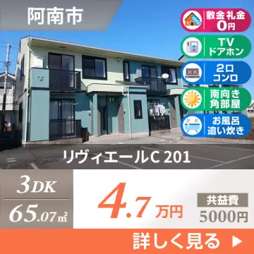 リヴィエールC 201