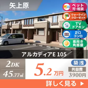 アルカディアE 105