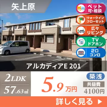 アルカディアE 201