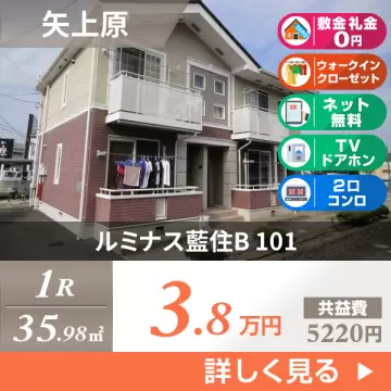 ルミナス藍住B 101