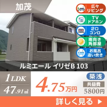 ルミエール イリゼB 103