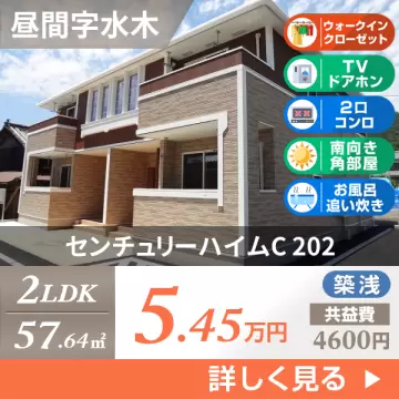 センチュリーハイムC 202