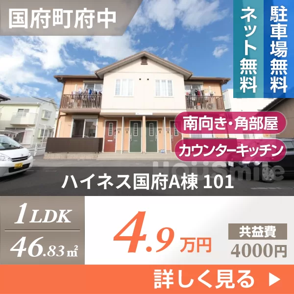 ハイネス国府A棟 101