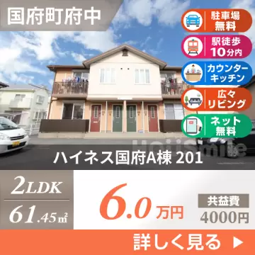 ハイネス国府A棟 201