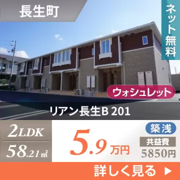 リアン長生B 201