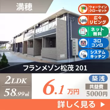 フランメゾン松茂 201