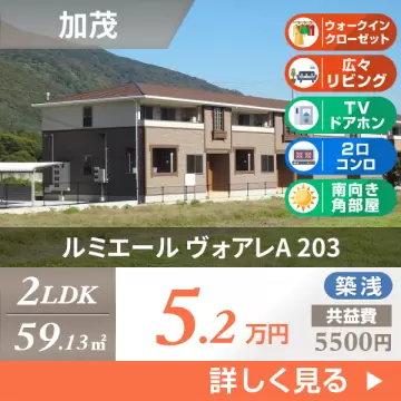 ルミエール ヴォアレA 203