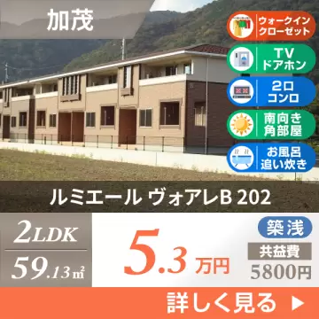 ルミエール ヴォアレB 202