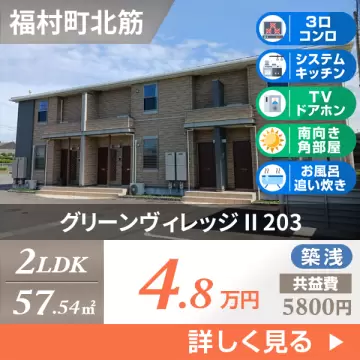 グリーンヴィレッジ II 203