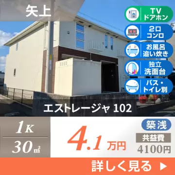 エストレージャ 102