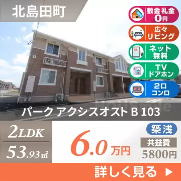 パーク アクシスオスト B 103
