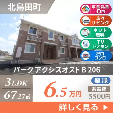 パーク アクシスオスト B 206