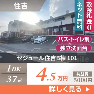 セジュール住吉B棟 101