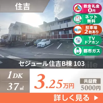 セジュール住吉B棟 103
