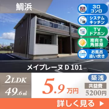 メイプレーヌ D 101