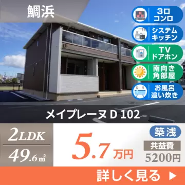 メイプレーヌ D 102