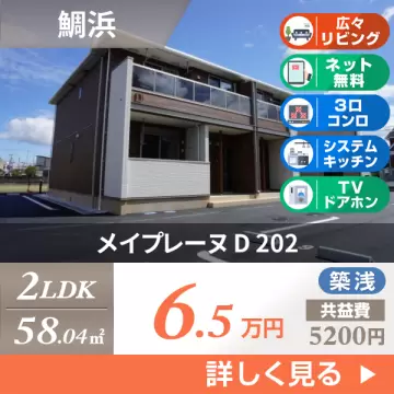 メイプレーヌ D 202