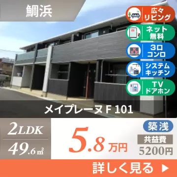 メイプレーヌ F 101