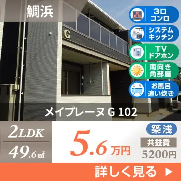 メイプレーヌ G 102