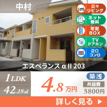 エスペランス α II 203