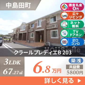 クラールプレディエB 203