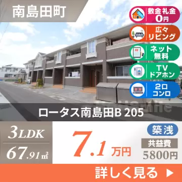 ロータス南島田B 205