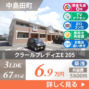 クラールプレディエE 205