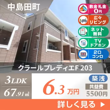 クラールプレディエF 203