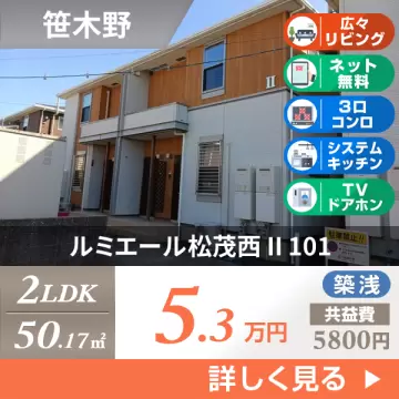 ルミエール松茂西 II 101