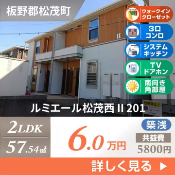 ルミエール松茂西 II 201
