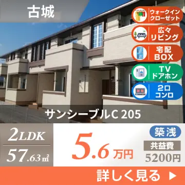 サンシーブルC 205