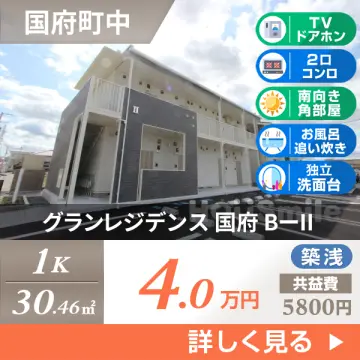 グランレジデンス 国府 BーII 202