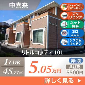 リトルコッティ 101