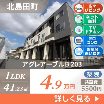 アグレアーブルB 203